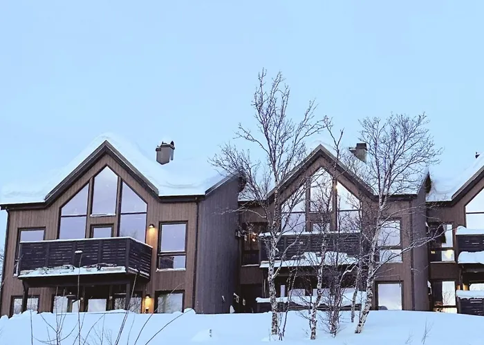 Skaidi Luxury - Heart Of The Arctic *